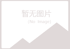 大新县安雁工程有限公司